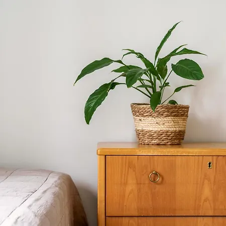 Arctic Glow With Sauna Рованиеми