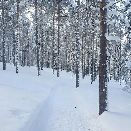Arctic Glow With Sauna Rovaniemi
