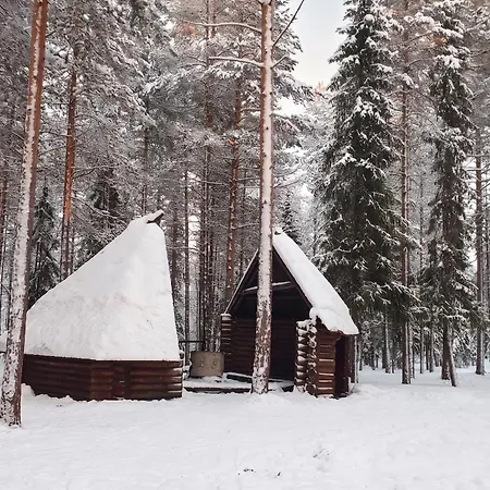 Arctic Glow With Sauna